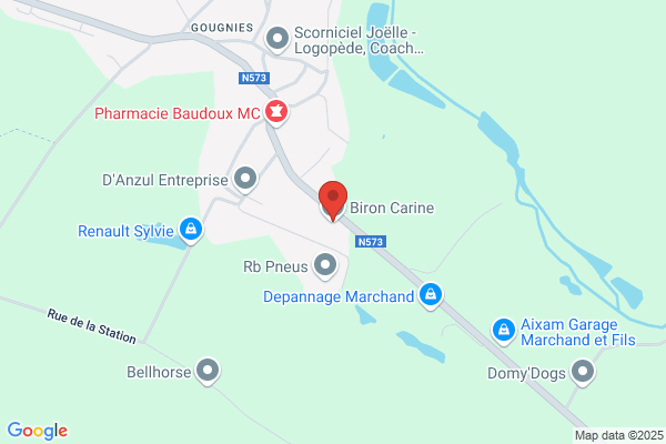 Flash Travel Gougnies