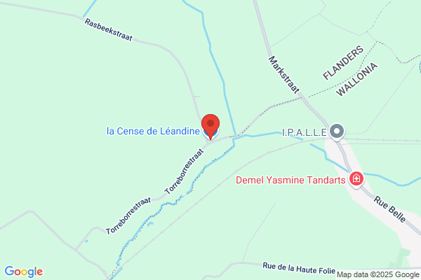 Limousin De La Neuve Censen (Le)