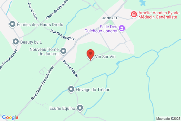 Le Vin 100 Sprl