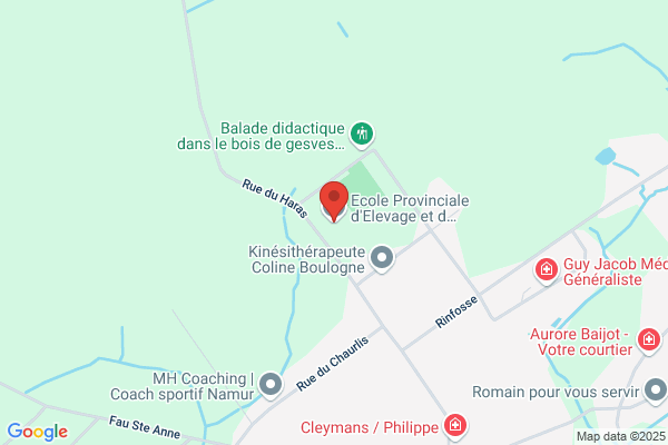 Cornez-Denis/P.