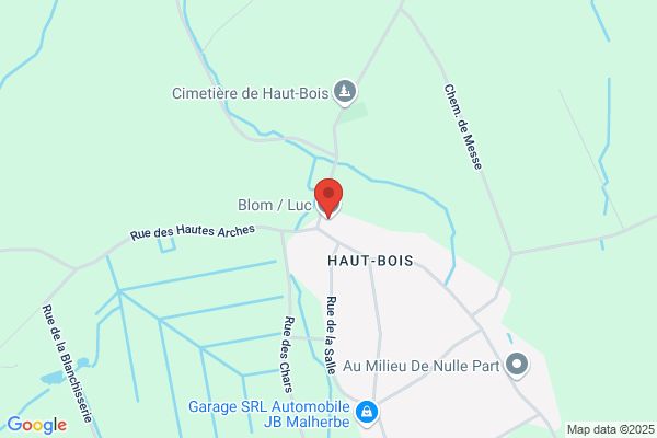 Blom Luc (Garage)