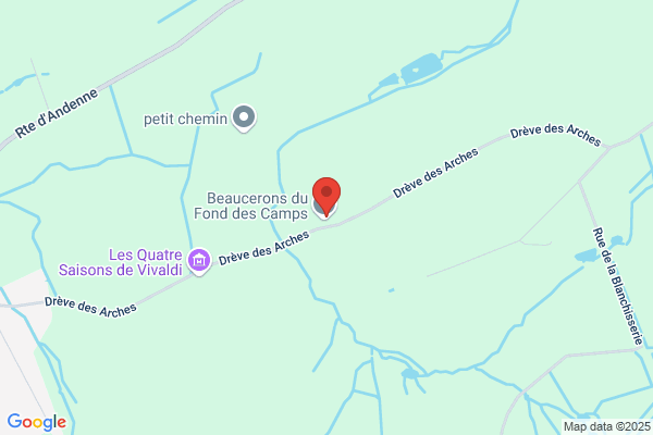 Au Fond Des Camps