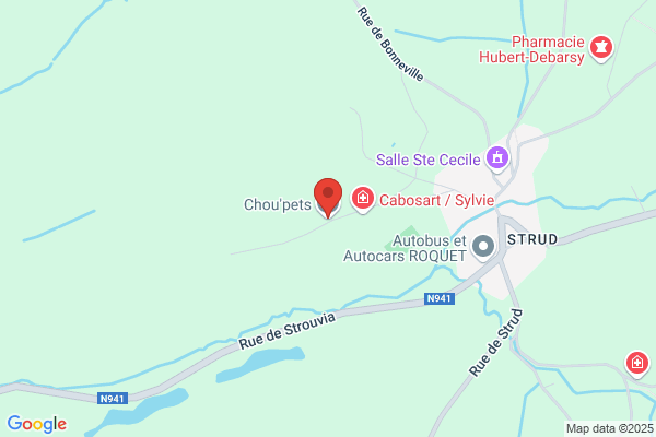 Chat Botté (Le)