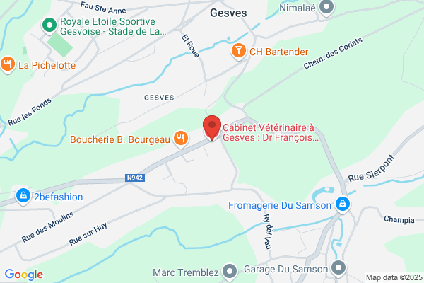 Damoiseau-Swinnen/H.