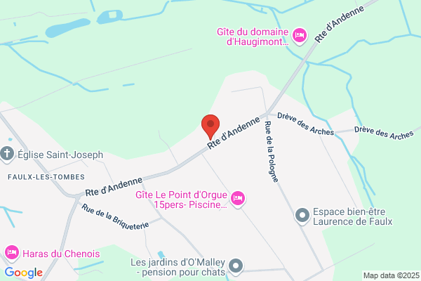 Au Temps Du Bois