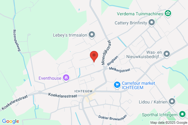 Verbeeke M