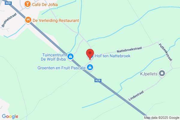 Verhasselt E