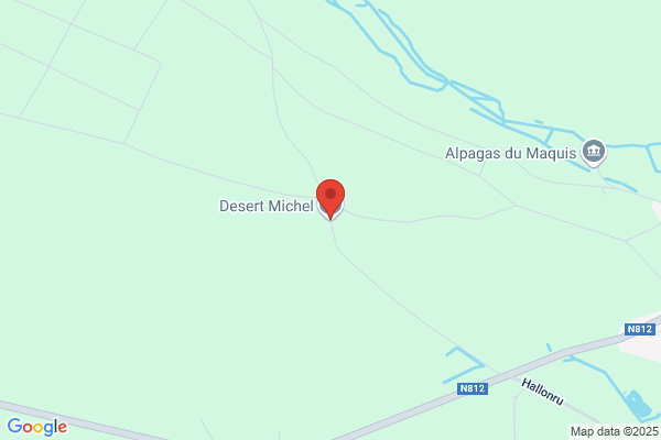 Desert Michel