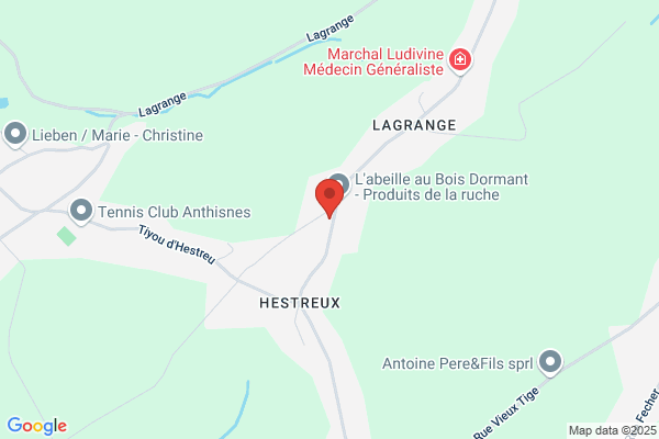 Heusdens P