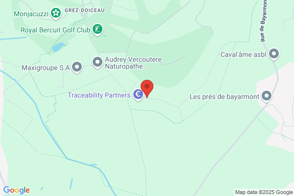 Régisseur (Le) Sa