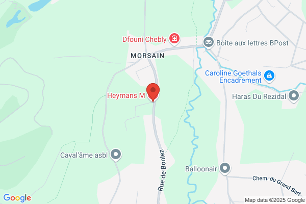 Heymans M.