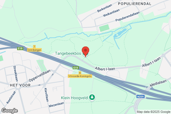 Loockx/Geert