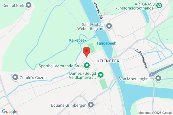 Van Steenwinckel