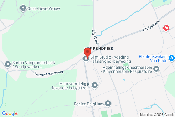 Gansemans M