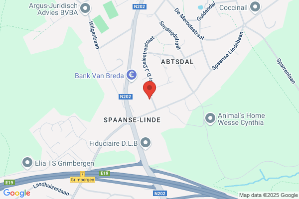 Van Hellemont/Agnes