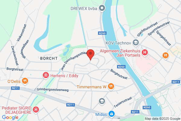Borgt