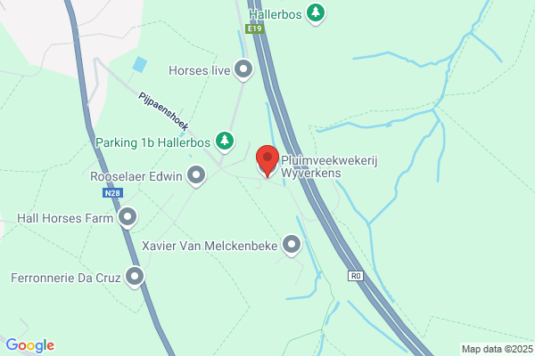 Wyverkens/Geert