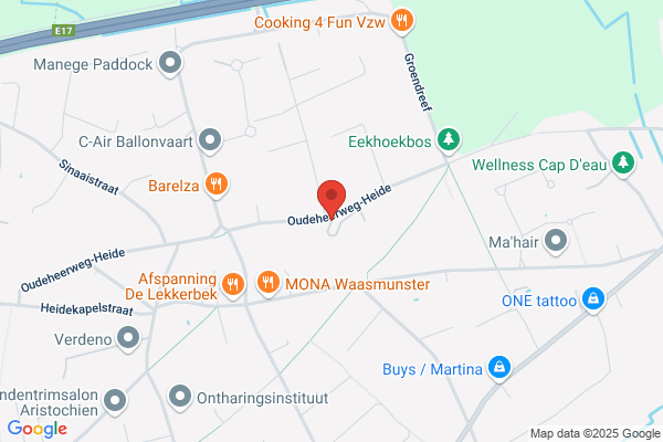 Blijweert J