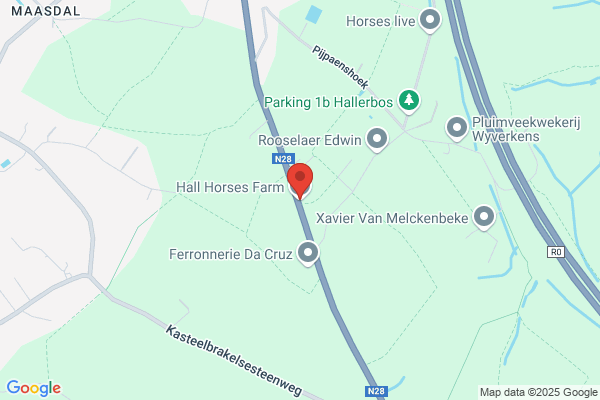 All Horses Farm Bvba