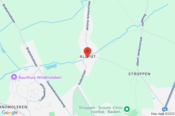 Alsput