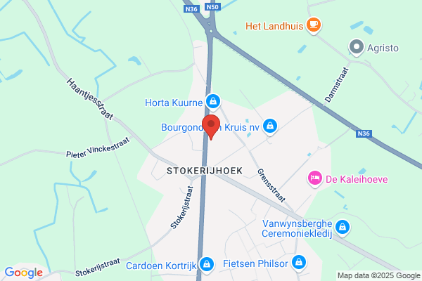 Vandewoestijne David