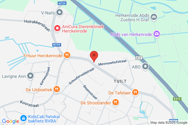 Vekemans Wilfried