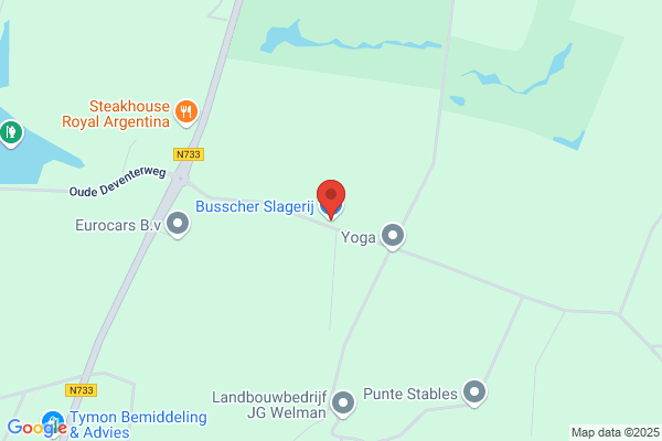 Debusschere R