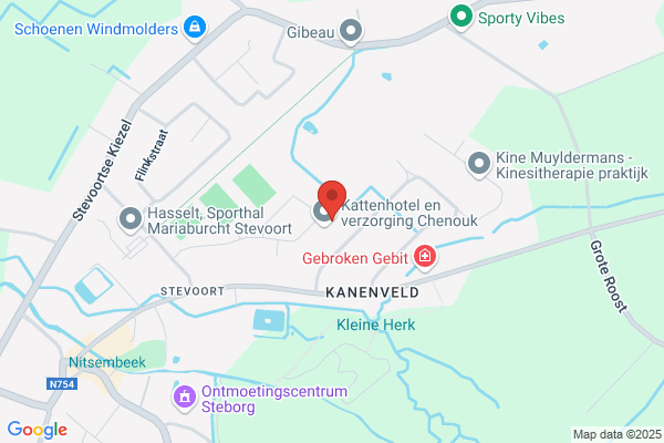 Goyvaerts M