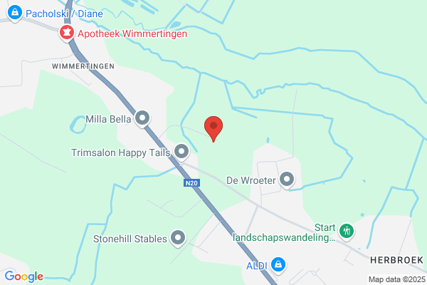 Bungeneers Steve