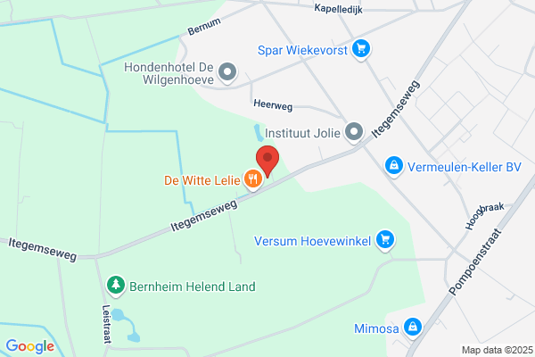 Van Houdt