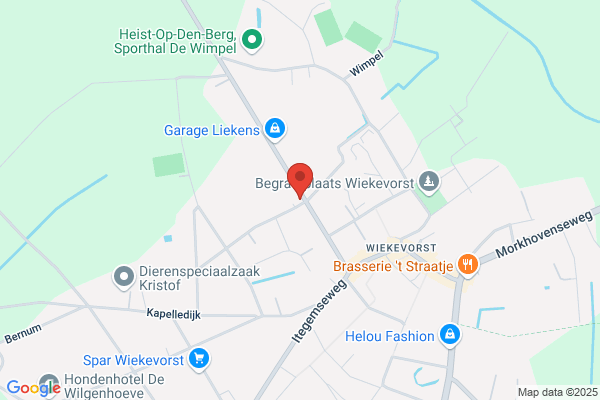 Van Orshaegen D