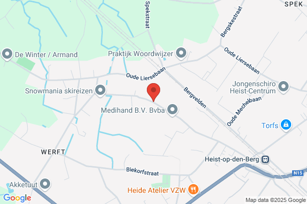 Lodewijk De Raeymaeker