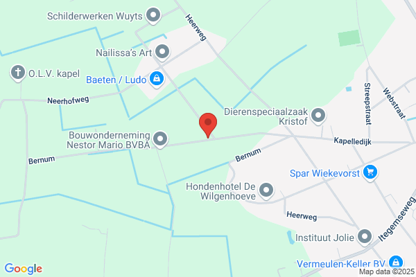 Van Gestel/Patrick