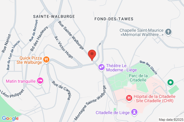 Ours Blanc (L')