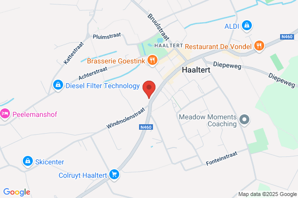 D'haeseleer L