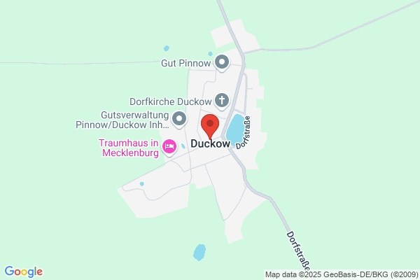Ducks Motte