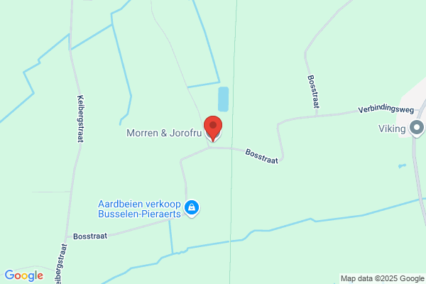 Morren & Jorofru