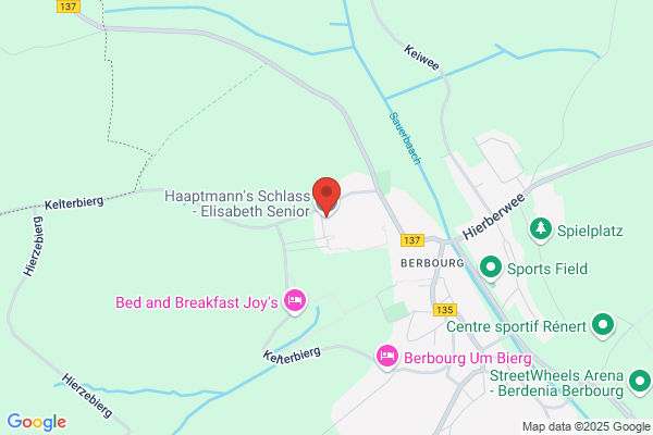 Brems-Wellens/P.