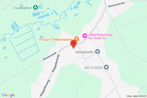 De Spiegeleer/P.