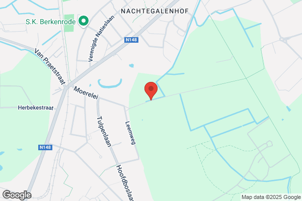 Doornroosje