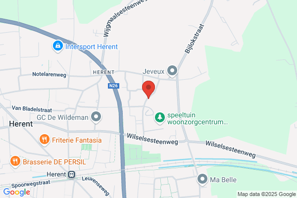 Goris V & Op De Beeck J