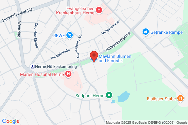 Van Holen/Jean