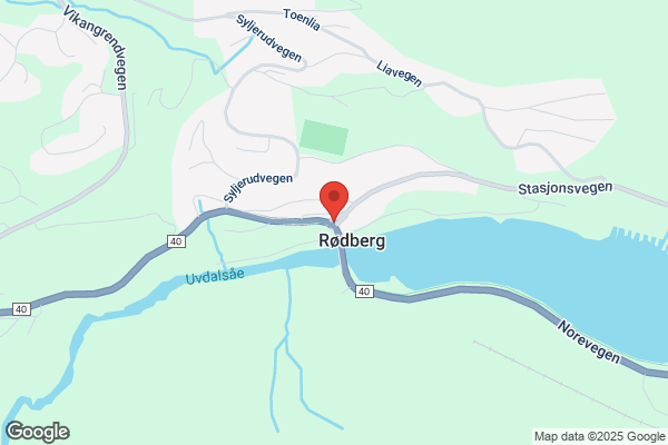 Rodberg M.