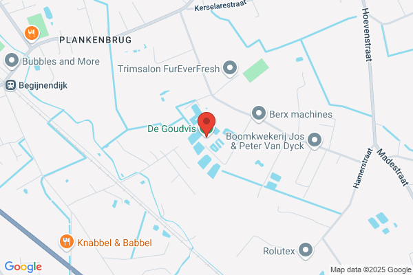 De Goudvis