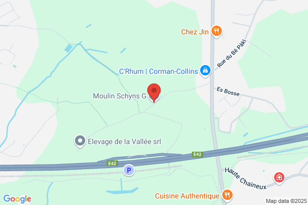Schyns(Moulin)sa