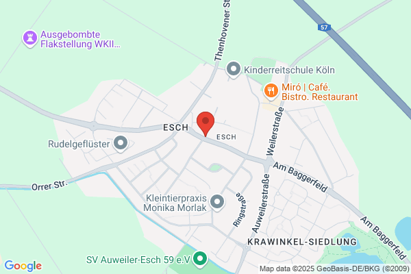 Knop M