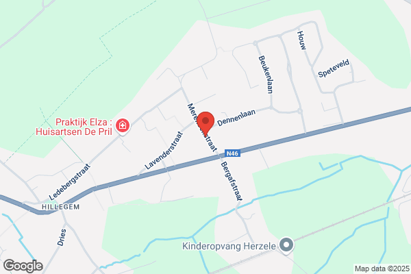 De Grauwe/Bart
