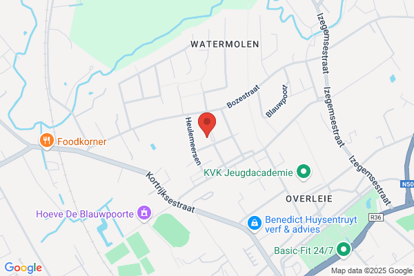 Kwispelcoach Ann