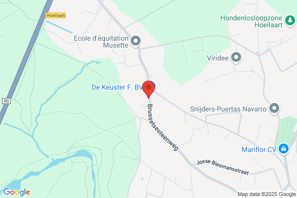 Geelen Nick Mecanics