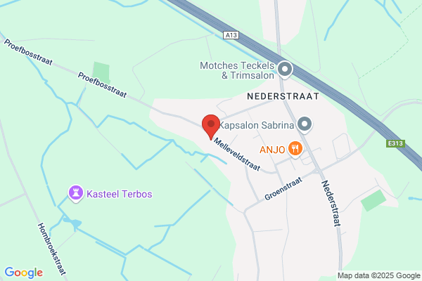 Festjens/Johan